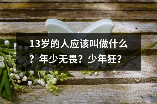 13岁的人应该叫做什么？年少无畏？少年狂？