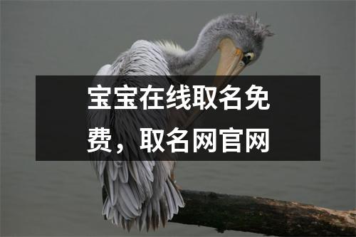 宝宝在线取名免费，取名网官网