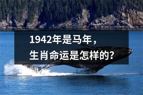 1942年是马年，生肖命运是怎样的？