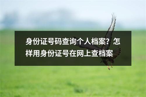 身份证号码查询个人档案？怎样用身份证号在网上查档案