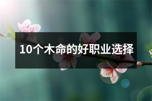 10个木命的好职业选择