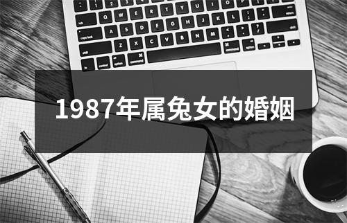 1987年属兔女的婚姻