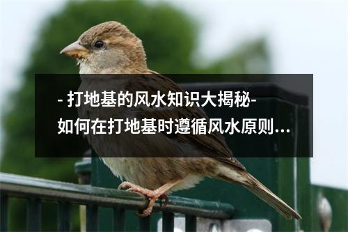 - 打地基的风水知识大揭秘- 如何在打地基时遵循风水原则- 打地基的风水禁忌与注意事项- 打地基时如何利用风水改善运势- 打地基前必须知道的风水常识与技巧