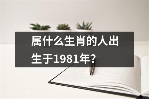 属什么生肖的人出生于1981年？