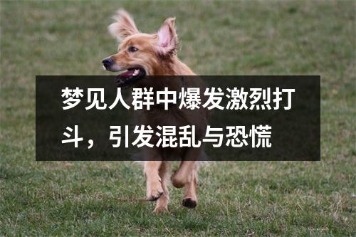 梦见人群中爆发激烈打斗，引发混乱与恐慌