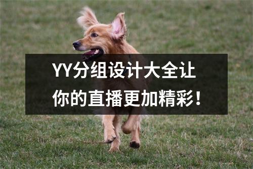 YY分组设计大全让你的直播更加精彩！