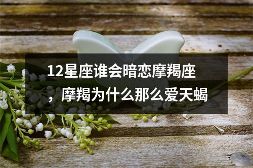 12星座谁会暗恋摩羯座，摩羯为什么那么爱天蝎