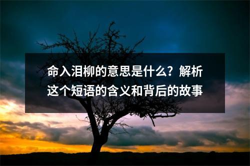 命入泪柳的意思是什么？解析这个短语的含义和背后的故事