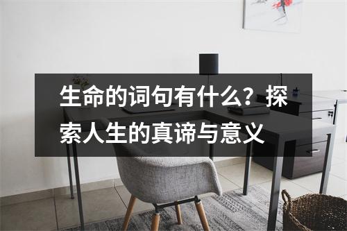 生命的词句有什么？探索人生的真谛与意义