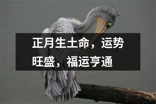正月生土命，运势旺盛，福运亨通