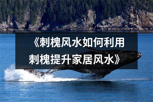 《刺槐风水如何利用刺槐提升家居风水》