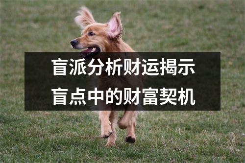 盲派分析财运揭示盲点中的财富契机