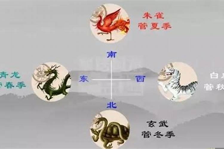 风水讲左青龙右白虎