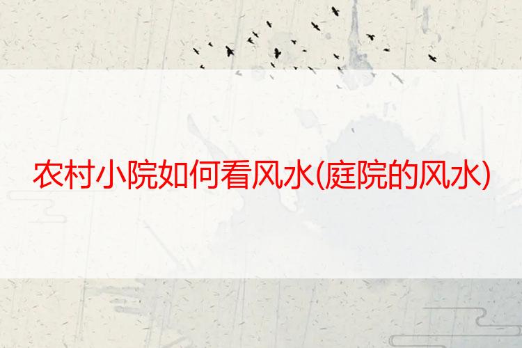 农村小院如何看风水