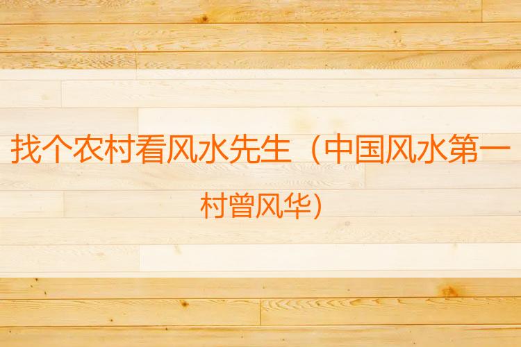 找个农村看风水先生