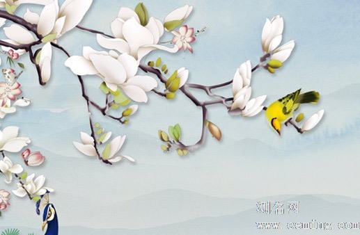 寓意好的人力资源公司名字 表达美好愿景