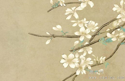 家居生活企业名字大全 寓意美好的名称推荐