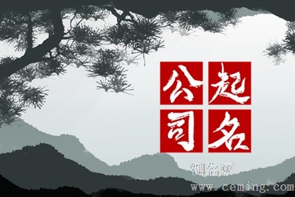 霸气的电商公司名字 简单通俗的公司名称