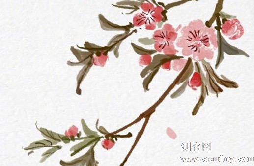 五行缺土最吉利的公司名字 寓意美好的企业名称大全