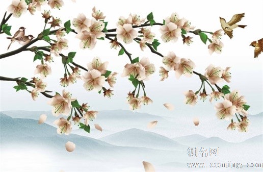 传媒公司名字有创意 高雅简单的企业取名