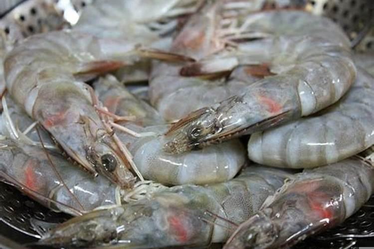 梦见好多鱼跟虾子自己捞了好多还被蛇咬手脚？做梦梦见好多鱼和虾是什么意思