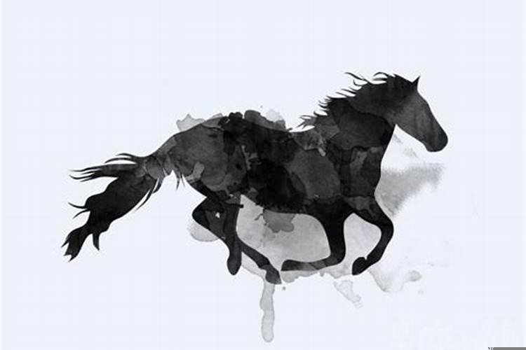 梦见那么多马是什么意思？老人梦见白马是什么预兆