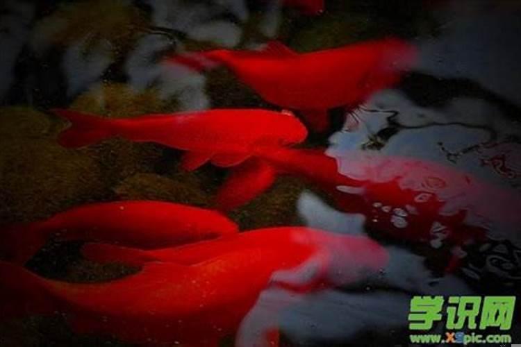 梦见红色的东西是什么预兆解梦？梦见红色的什么意思