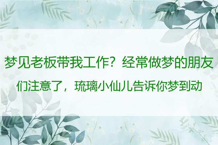 梦见老板带我工作？经常做梦的朋友们注意了，琉璃小仙儿告诉你梦到动物暗示着什么