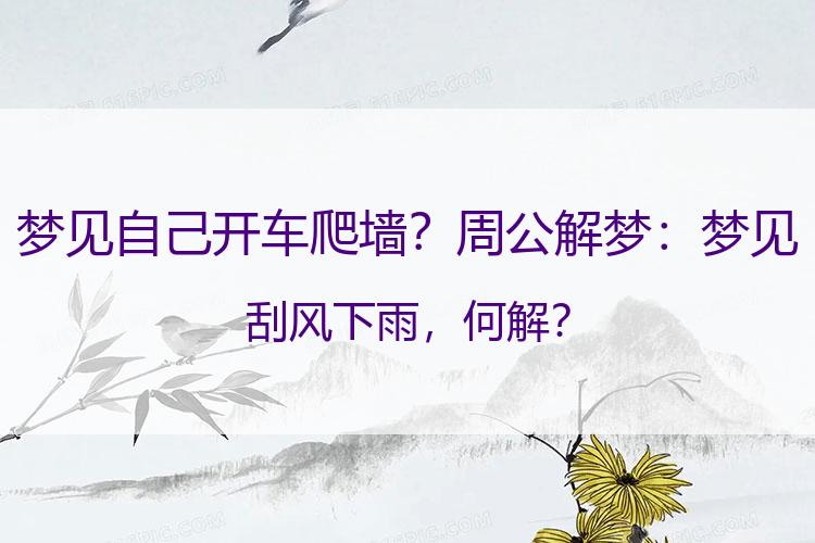 梦见自己开车爬墙？周公解梦：梦见刮风下雨，何解？