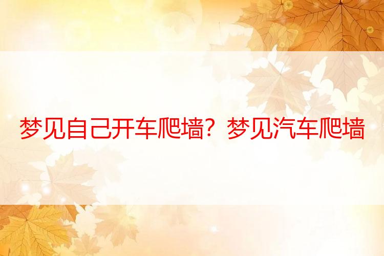 梦见自己开车爬墙？梦见汽车爬墙