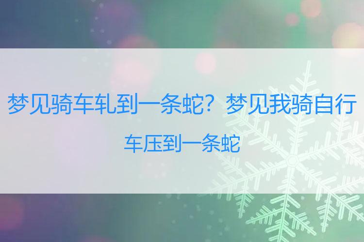 梦见骑车轧到一条蛇？梦见我骑自行车压到一条蛇