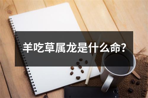 羊吃草属龙是什么命？