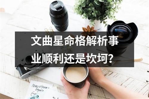 文曲星命格解析事业顺利还是坎坷？
