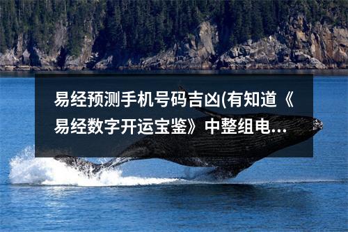 易经预测手机号码吉凶