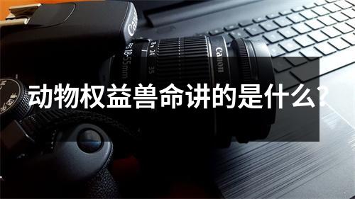动物权益兽命讲的是什么？