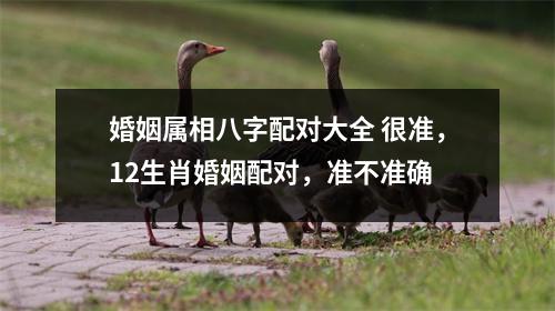 婚姻属相八字配对大全 很准，12生肖婚姻配对，准不准确