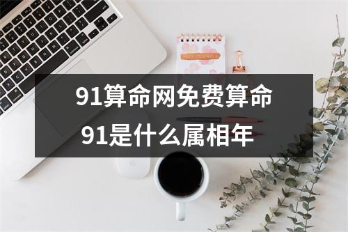 91算命网免费算命 91是什么属相年