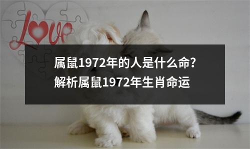 属鼠1972年的人是什么命？解析属鼠1972年生肖命运