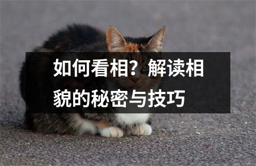 如何看相？解读相貌的秘密与技巧