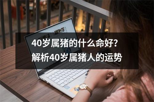 40岁属猪的什么命好？解析40岁属猪人的运势
