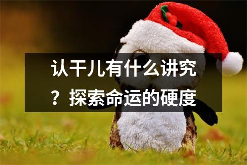 认干儿有什么讲究？探索命运的硬度