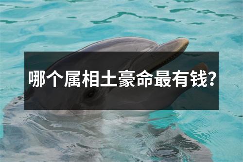 哪个属相土豪命最有钱？
