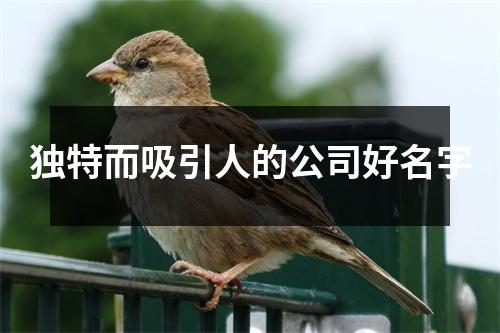 独特而吸引人的公司好名字