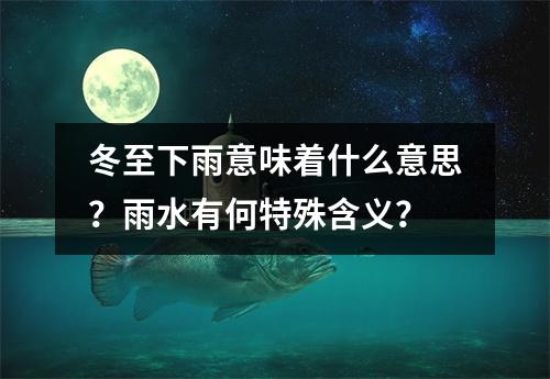 冬至下雨意味着什么意思？雨水有何特殊含义？