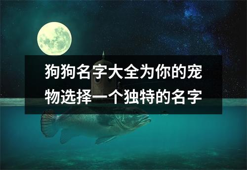 狗狗名字大全为你的宠物选择一个独特的名字