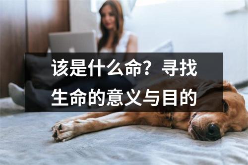 该是什么命？寻找生命的意义与目的