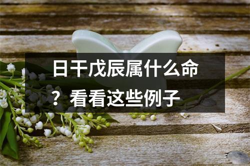 日干戊辰属什么命？看看这些例子