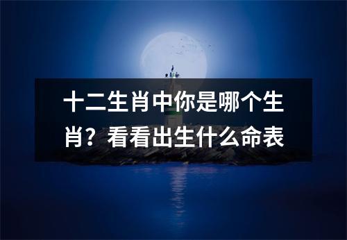 十二生肖中你是哪个生肖？看看出生什么命表