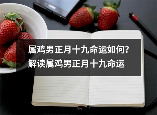 属鸡男正月十九命运如何？解读属鸡男正月十九命运