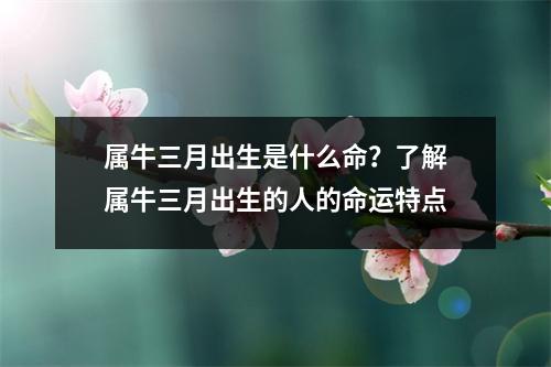 属牛三月出生是什么命？了解属牛三月出生的人的命运特点